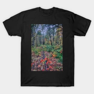 Track Trough Autumn T-Shirt